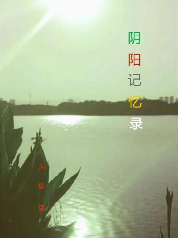 阴阳镜小说